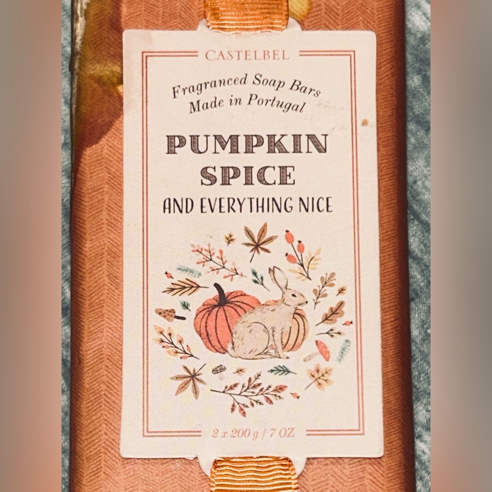 FINAL PRICE - Pumpkin Spice Fragranced Soap Bars